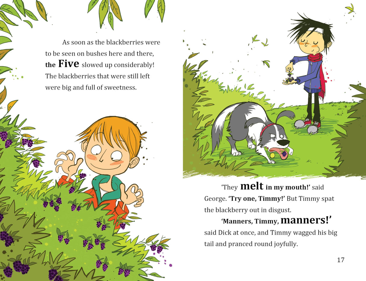 FAMOUS FIVE COLOUR SHORT STORIES: FIVE AND A HALF-TERM ADVENTURE - Retail Maharaj
