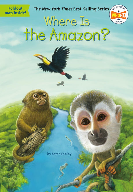 Where Is the Amazon? - Retail Maharaj