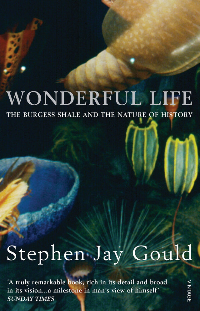 Wonderful Life - Retail Maharaj
