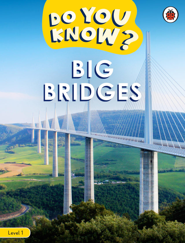 Do You Know? Level 1 - Big Bridges - Retail Maharaj