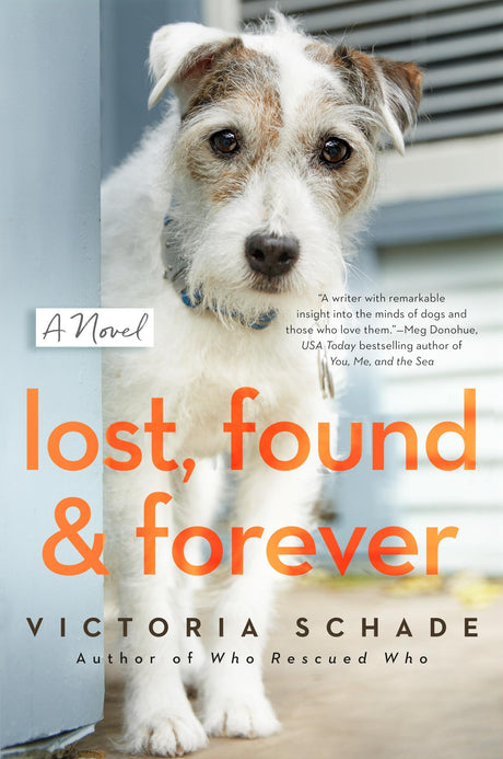 Lost, Found, and Forever: A Novel - Retail Maharaj