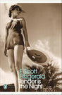 Tender is the Night (Penguin Modern Classics) - Retail Maharaj