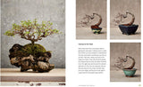The Little Book of Bonsai: An Easy Guide to Caring for Your Bonsai Tree - Retail Maharaj