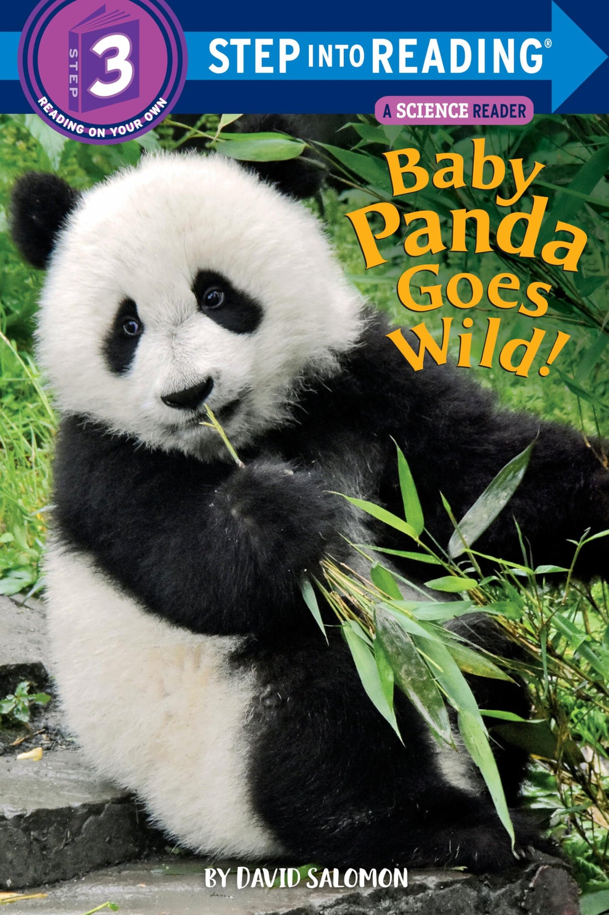 Baby Panda Goes Wild! - Retail Maharaj