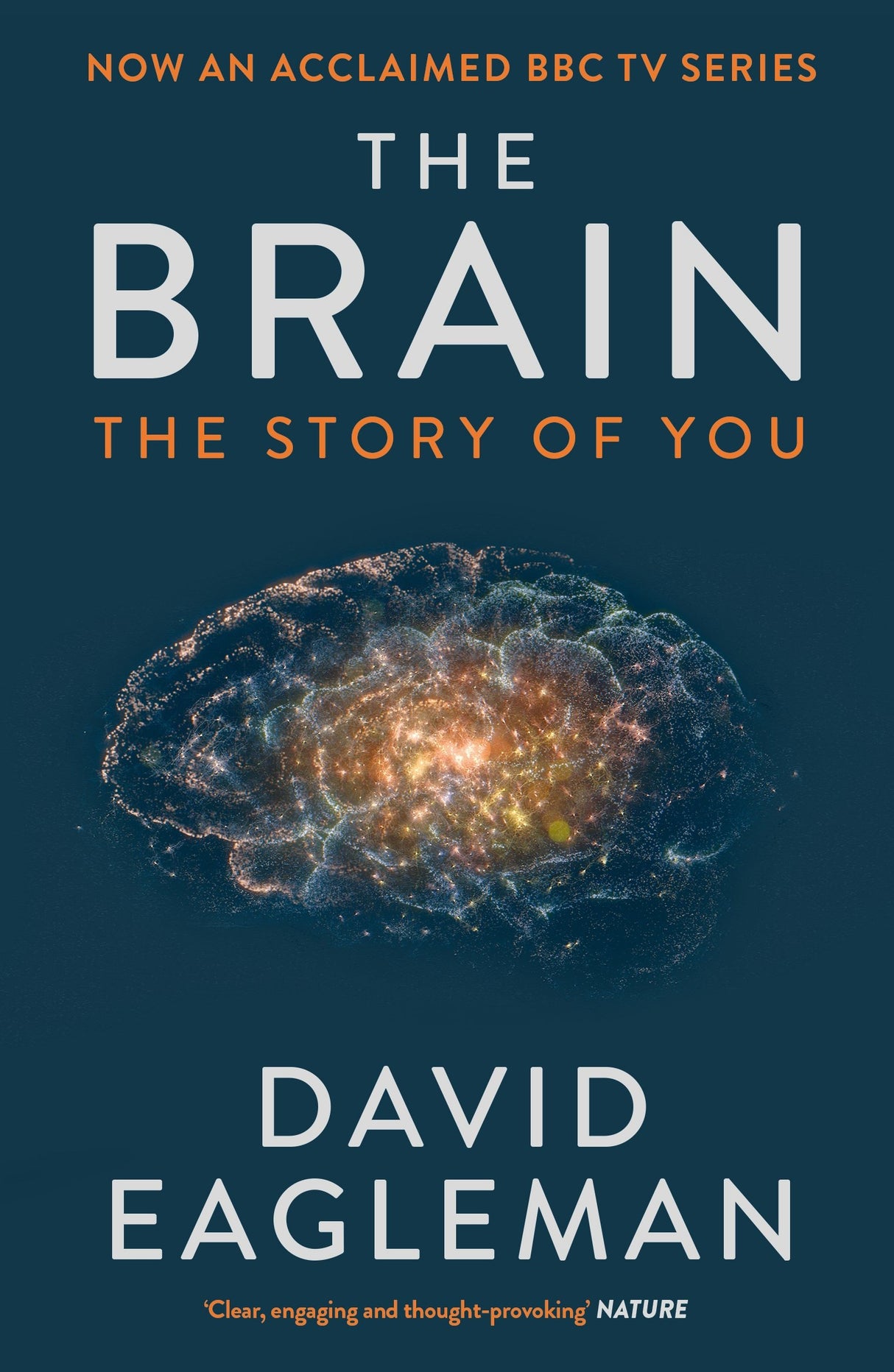 The Brain: The Story of You - Retail Maharaj