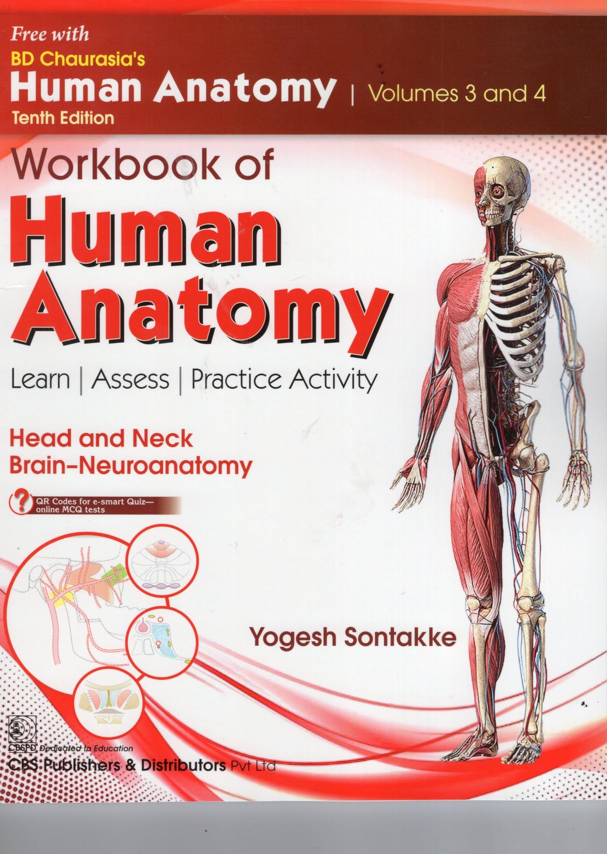 Bd Chaurasias Human Anatomy 10Ed Vol 3 And 4 Regional And Applied Dissection And Clinical Head And Neck Brain Neuroanatomy With Free Workbook And Ebooks (Pb 2025) - Retail Maharaj