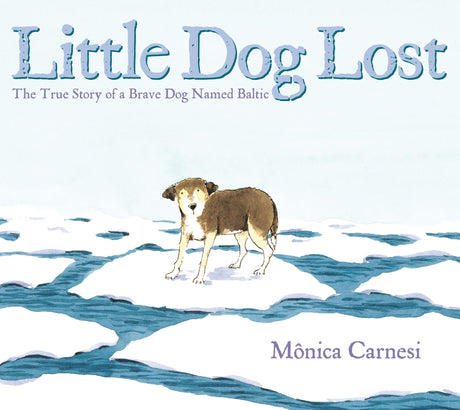 Little Dog Lost: The True Story of a Brave Dog Named Baltic - Retail Maharaj