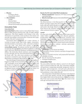 ADULT HEALTH NURSING-I (MEDICAL SURGICAL NURSING) - Retail Maharaj