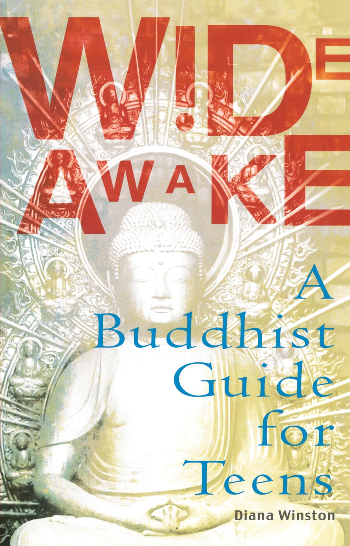 Wide Awake: A Buddhist Guide for Teens - Retail Maharaj