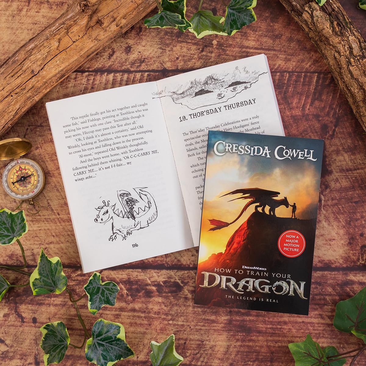How to Train Your Dragon 2025 FILM TIE-IN EDITION: Book 1 - Retail Maharaj
