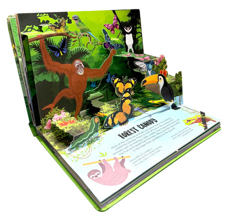 Pop Up Forest Book for Kids: Autumn, Mangroves, Rainforests & Discover the World of Forest | Journey Nature’s Wonders | Interactive Learning | ... | Adventure Fun Facts for Little Scholars - Retail Maharaj