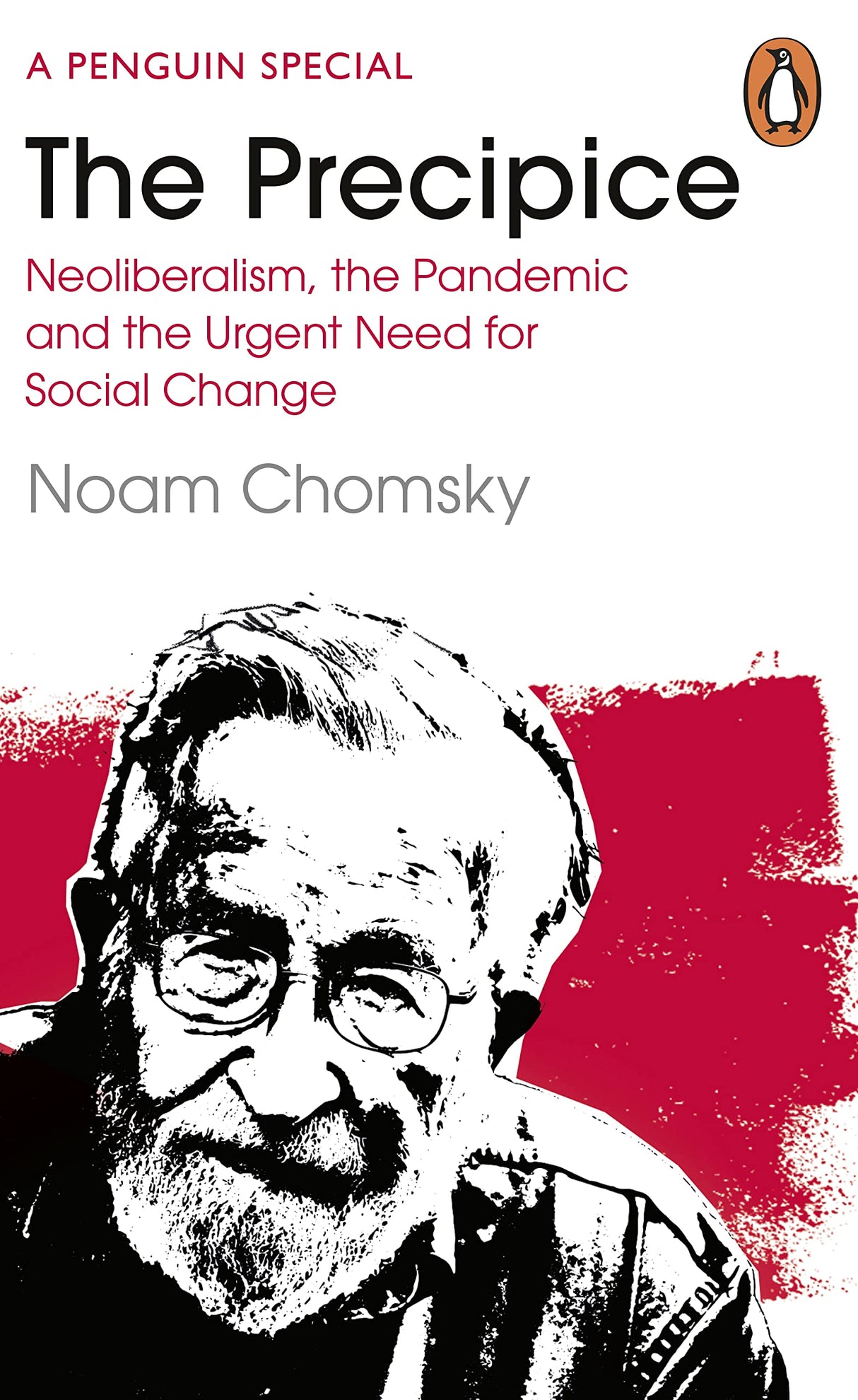 The Precipice: Neoliberalism, the Pandemic and the Urgent Need for Radical Change - Retail Maharaj