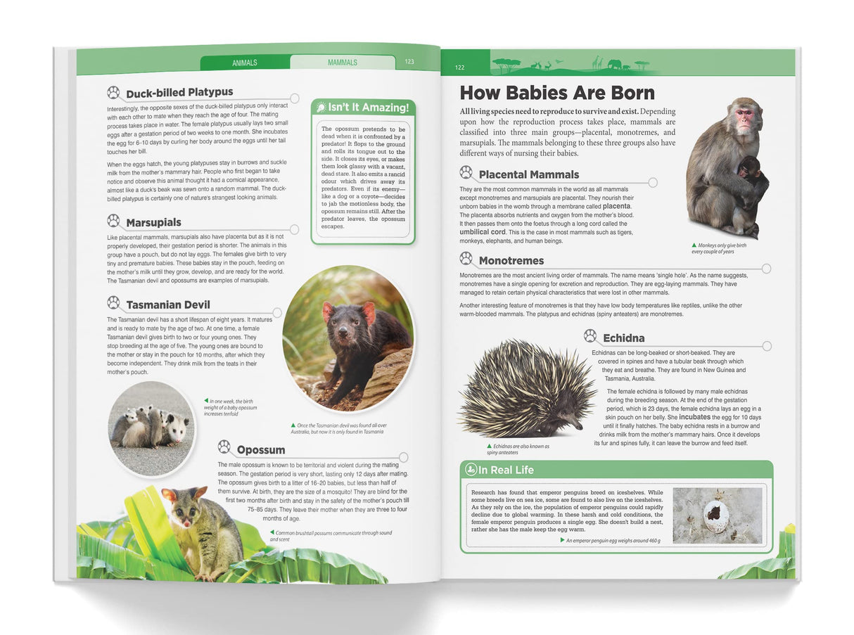 Knowledge Encyclopedia - Animals - Retail Maharaj
