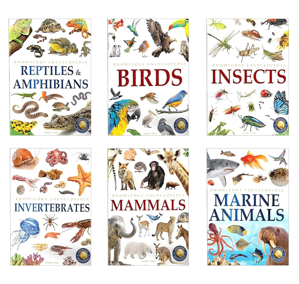 Animals - Collection of 6 Books : Knowledge Encyclopedia For Children (Box Set) - Retail Maharaj