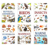 Animals - Collection of 6 Books : Knowledge Encyclopedia For Children (Box Set) - Retail Maharaj