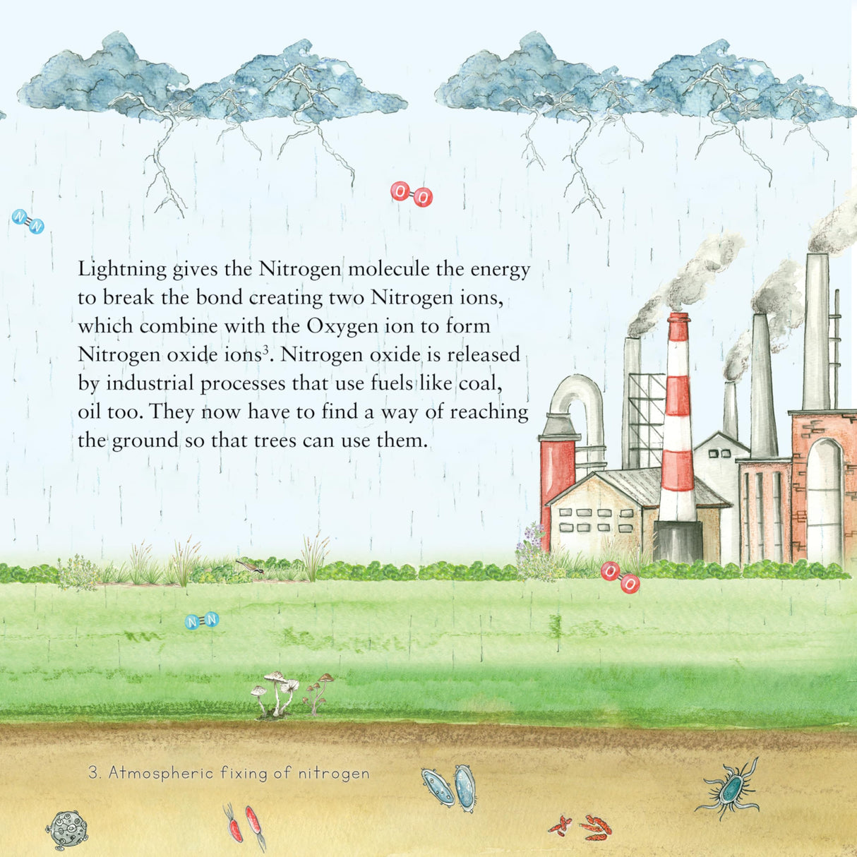 Why is Nitrogen Needed? - A Larks and Fables Story - Retail Maharaj