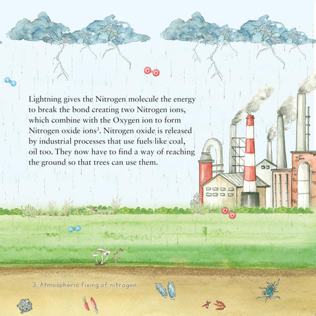 Why is Nitrogen Needed? - A Larks and Fables Story - Retail Maharaj