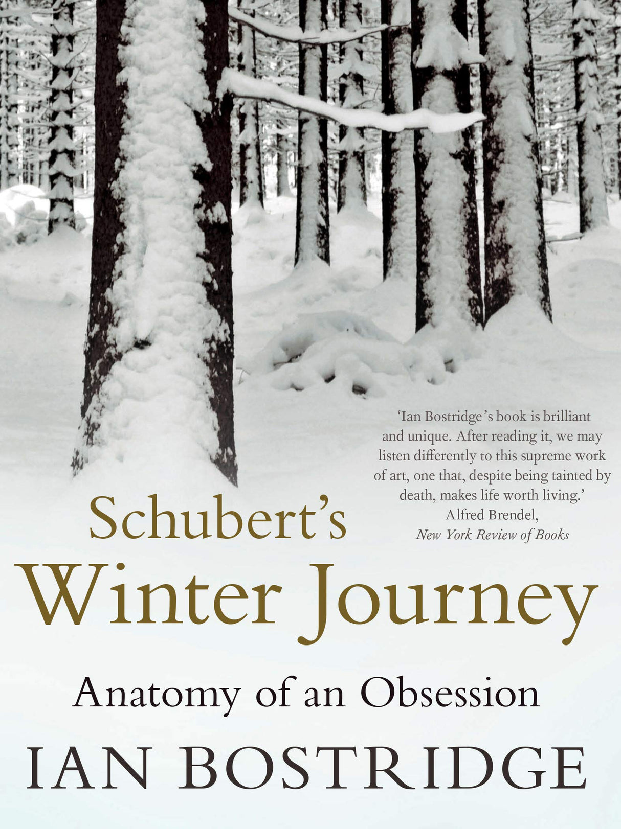 Schubert's Winter Journey: Anatomy of an Obsession - Retail Maharaj