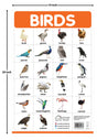 Birds - My First Early Learning Wall Posters: For Preschool, Kindergarten, Nursery And Homeschooling (19 Inches X 29 Inches) - Retail Maharaj