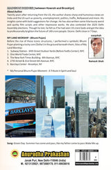 Madison Bridge - between Howrah and Brooklyn - Retail Maharaj