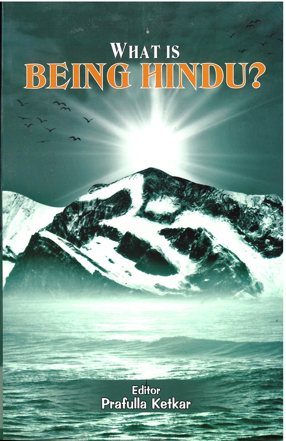 What is Being Hindu? - Retail Maharaj