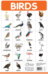 Birds - My First Early Learning Wall Posters: For Preschool, Kindergarten, Nursery And Homeschooling (19 Inches X 29 Inches) - Retail Maharaj