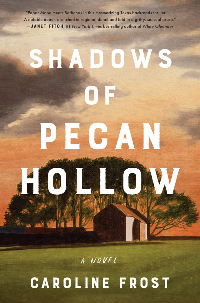 Shadows of Pecan Hollow: A Novel - Retail Maharaj