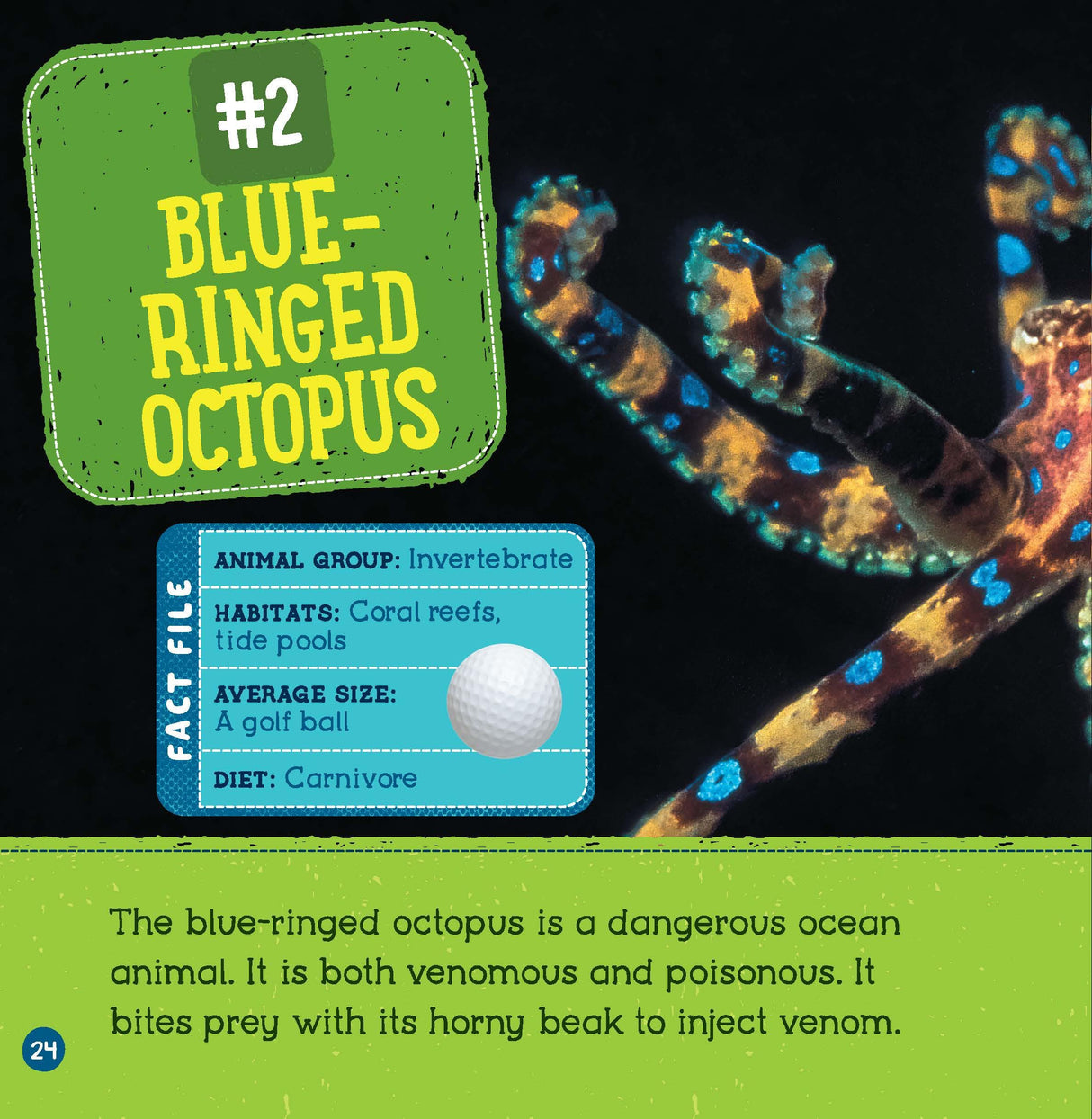 Poisonous Animals (Wild World: Top 10) - Retail Maharaj
