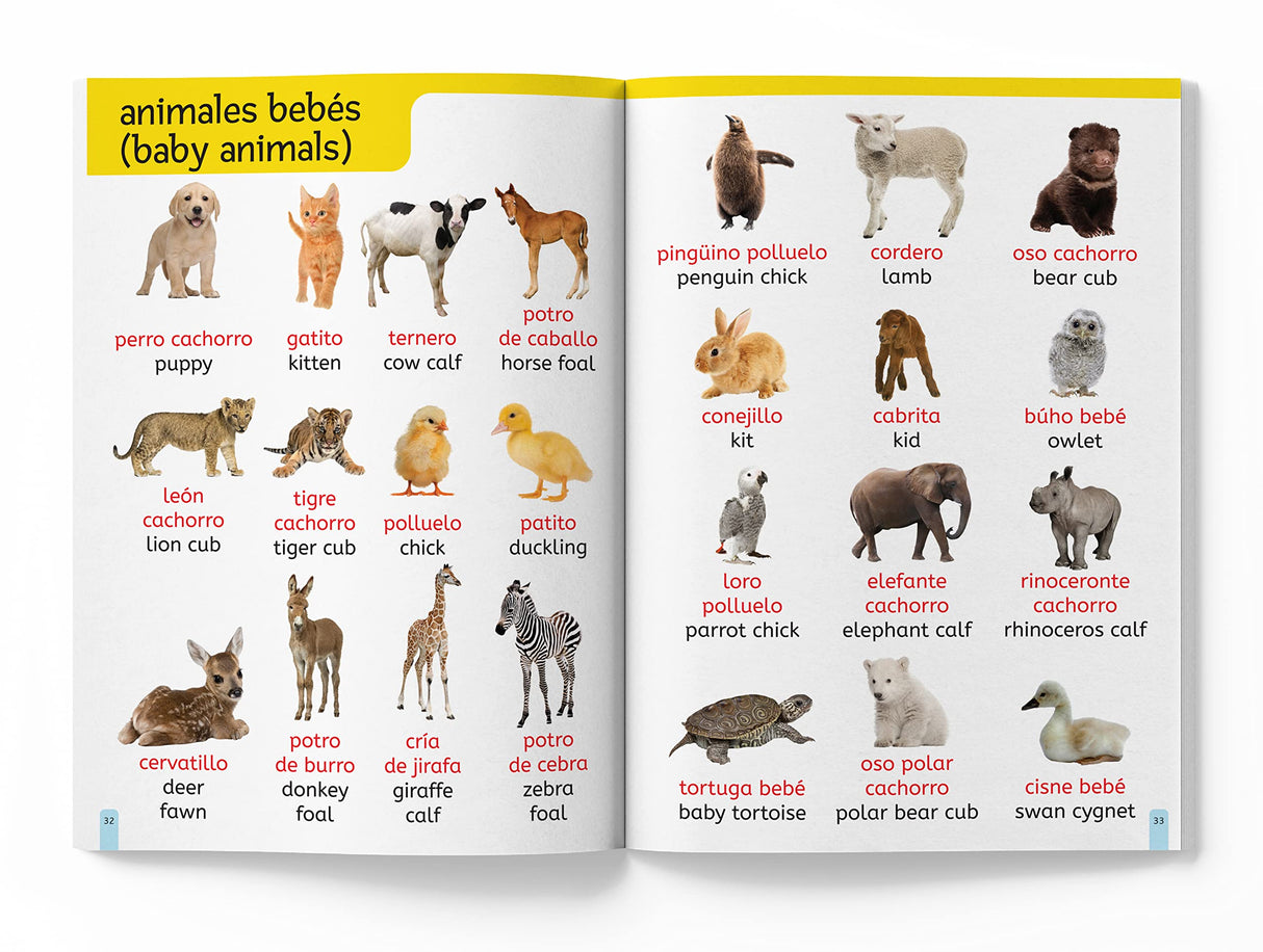 My First 1000 English-Espaňol Words: Early Learning Bilingual Picture Book For Kids - Retail Maharaj