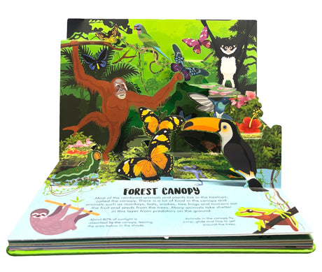 Pop Up Forest Book for Kids: Autumn, Mangroves, Rainforests & Discover the World of Forest | Journey Nature’s Wonders | Interactive Learning | ... | Adventure Fun Facts for Little Scholars - Retail Maharaj