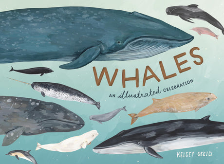 Whales - Retail Maharaj