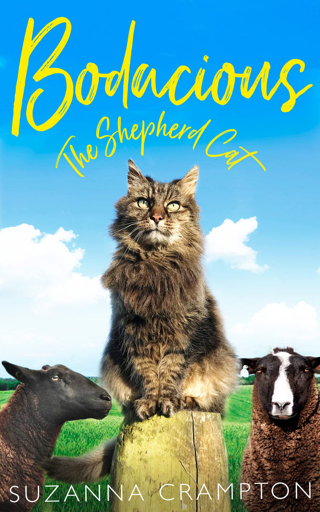 Bodacious: The Shepherd Cat - Retail Maharaj