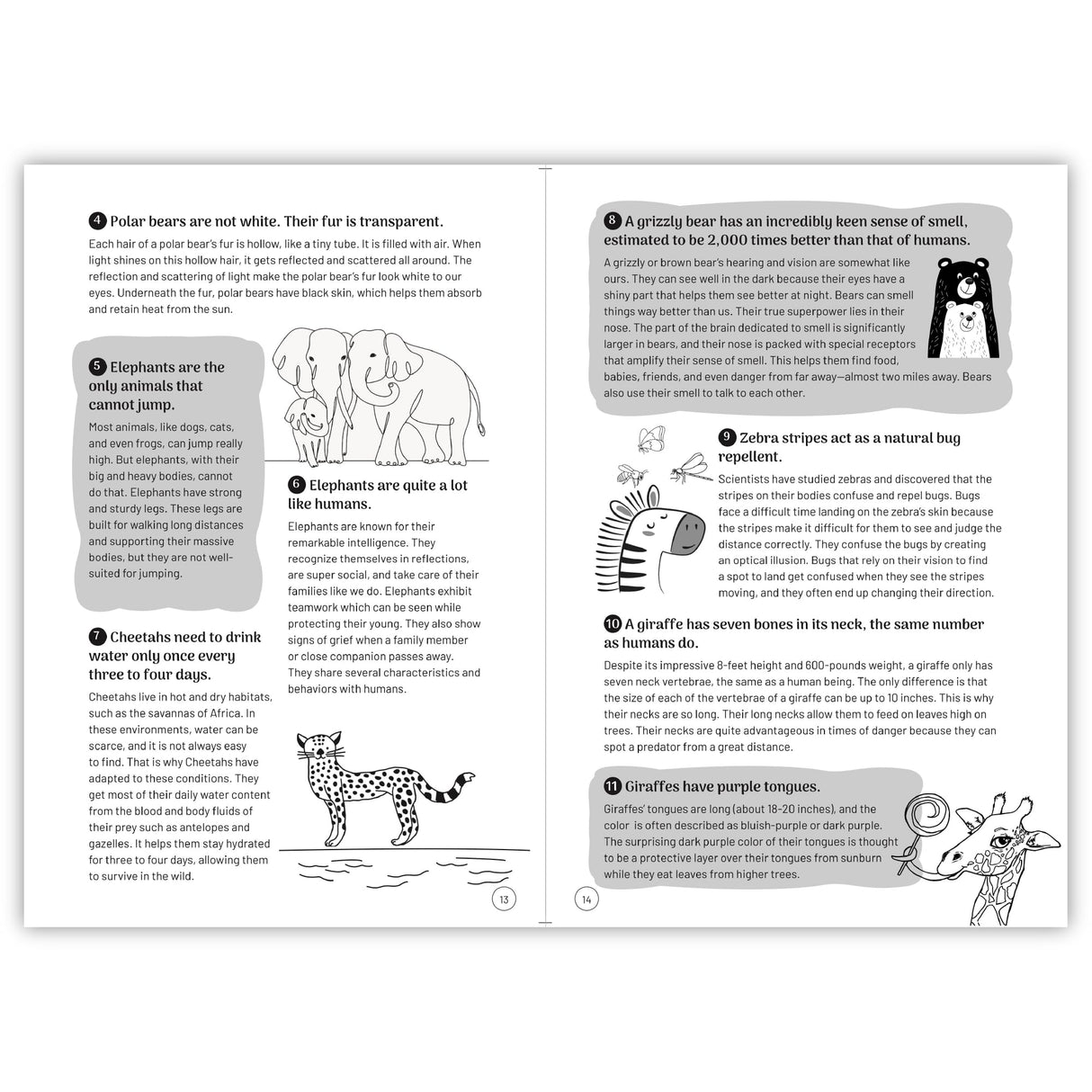Interesting Facts for Curious Kids: 1000 Fascinating Facts about the Human Body, Animals, Space, History, Science, Technology, and more to Spark ... 5+ [Select Learning] (Penguin Early Learning) - Retail Maharaj