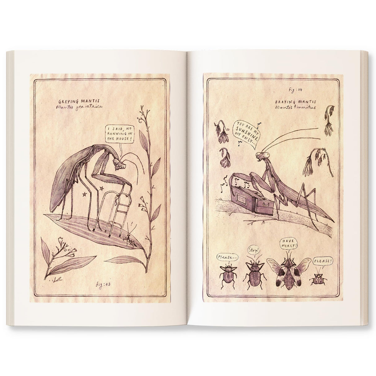 Go Wild: Stories, essays and comics that celebrate the Earth - Retail Maharaj