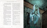 Harry Potter and the Chamber of Secrets - Retail Maharaj