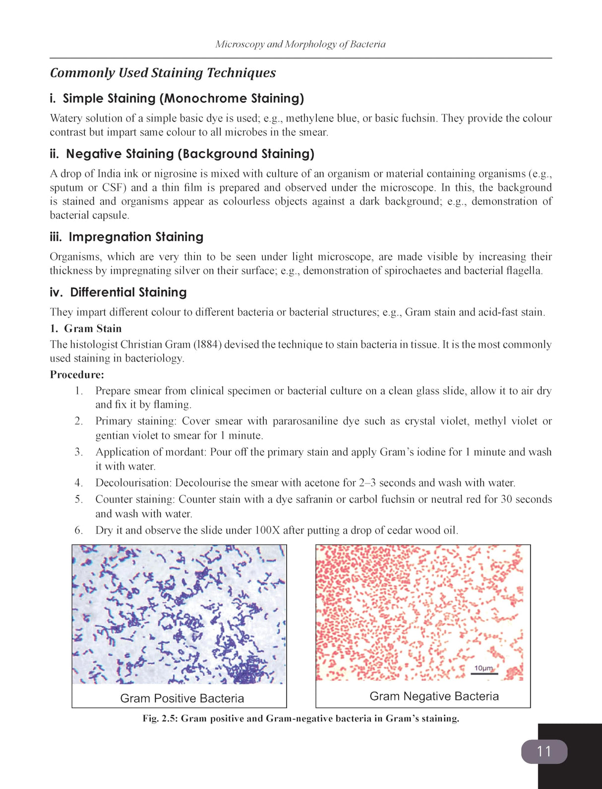 RB's Essentials of Medical Microbiology for BMLT (2nd Edition) (Second Edition, 2026) - Retail Maharaj