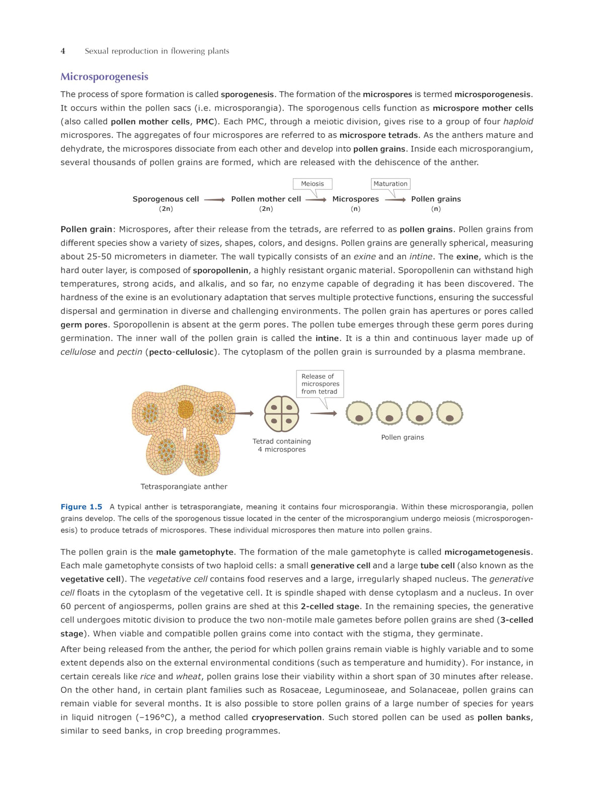 Pathfinder's NCERT Biology Book for Class 12: Comprehensive Guide for NEET, CUET (UG) Biology, and Class 12 Board | Latest NCERT Pattern, Simplified Language, Detailed Theory, and MCQs - Retail Maharaj