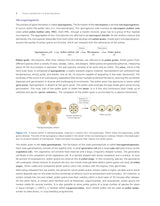 Pathfinder's NCERT Biology Book for Class 12: Comprehensive Guide for NEET, CUET (UG) Biology, and Class 12 Board | Latest NCERT Pattern, Simplified Language, Detailed Theory, and MCQs - Retail Maharaj
