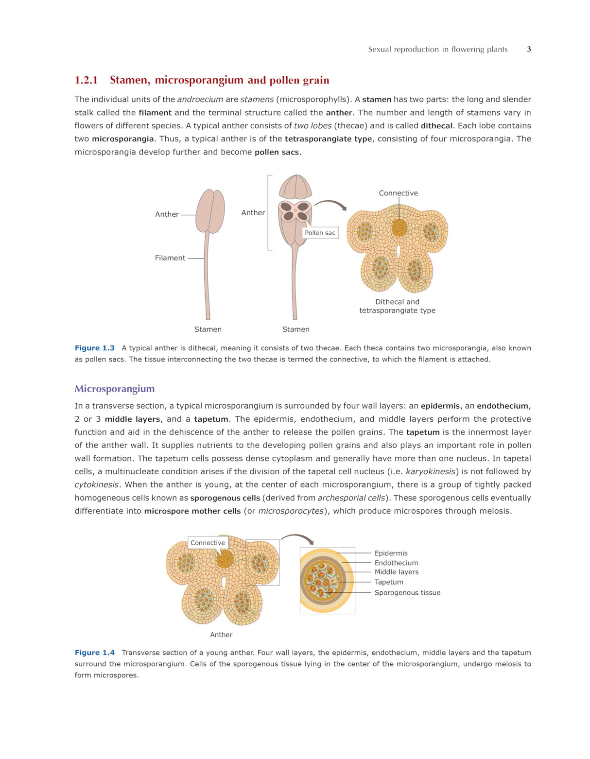 Pathfinder's NCERT Biology Book for Class 12: Comprehensive Guide for NEET, CUET (UG) Biology, and Class 12 Board | Latest NCERT Pattern, Simplified Language, Detailed Theory, and MCQs - Retail Maharaj