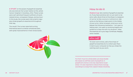 Instant Calm: 2-Minute Meditations to Create a Lifetime of Happy - Retail Maharaj