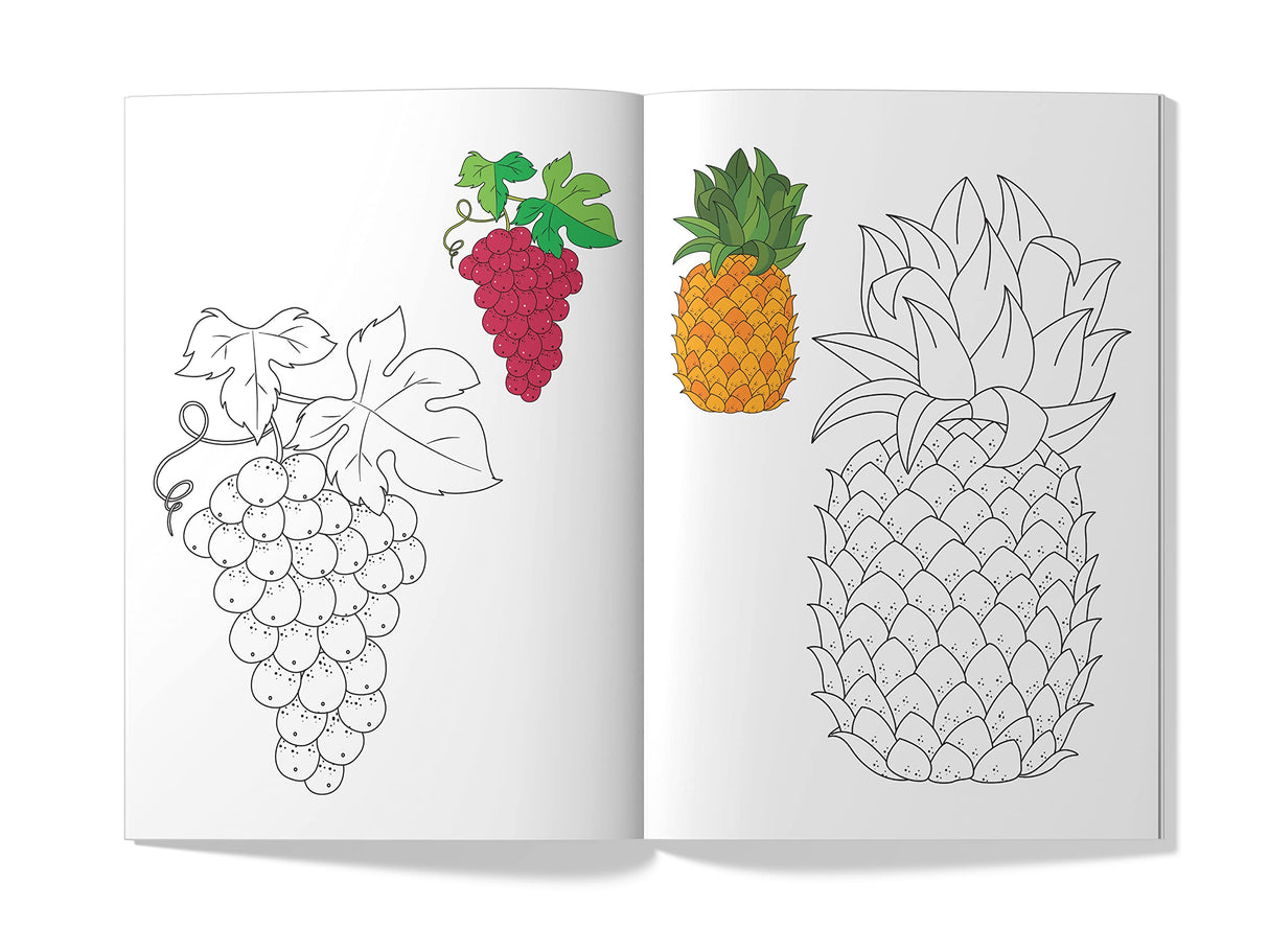 Little Artist Series Fruits: Copy Colour Books - Retail Maharaj