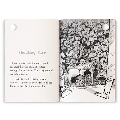 Nisha Small: The Ring of Rubies (hOle books): Two Junior Detectives Solving the Mystery of Suspicious Fires in Madurai | Ages 7+ - Retail Maharaj