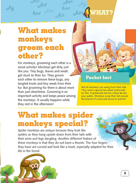 Encyclopedia: My Encyclopedia of Animals - What? Why? How? When? - Encyclopedia books for Children - Retail Maharaj