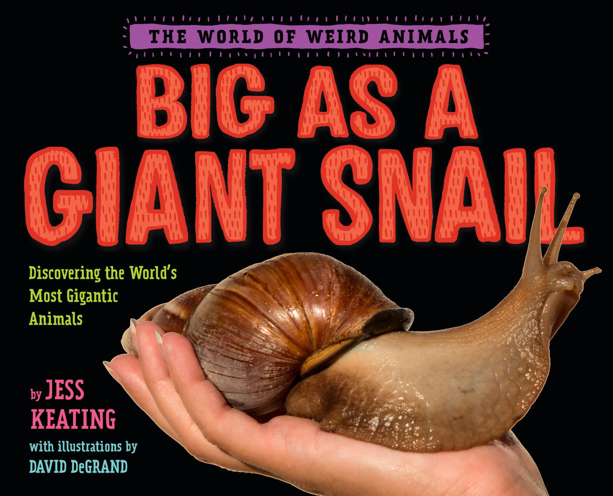 Big as a Giant Snail - Retail Maharaj