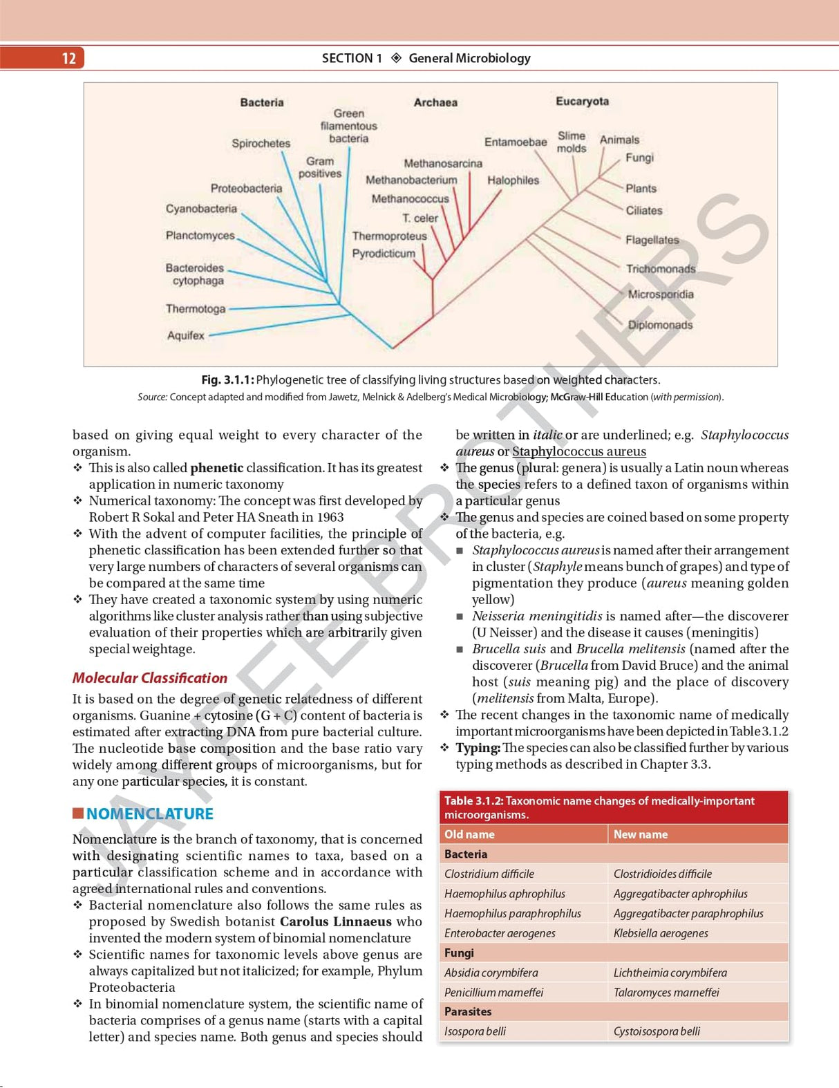 ESSENTIALS OF MEDICAL MICROBIOLOGY WITH COMPLIMENTARY QUESTION BOOK - Retail Maharaj