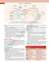ESSENTIALS OF MEDICAL MICROBIOLOGY WITH COMPLIMENTARY QUESTION BOOK - Retail Maharaj