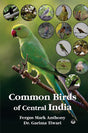 Common Birds of Central India - Retail Maharaj