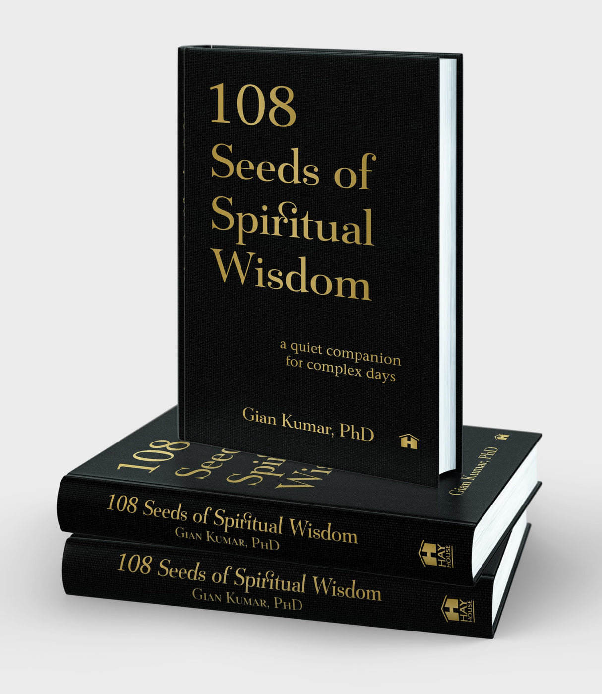 108 Seeds of Spiritual Wisdom: A Quiet Companion for Complex Days - Retail Maharaj