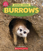 Learn About: Animal Homes: Burrows - Retail Maharaj