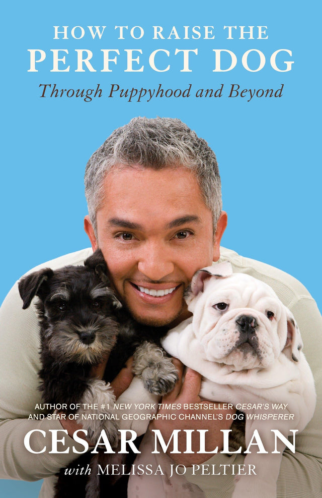 How to Raise the Perfect Dog: Through Puppyhood and Beyond - Retail Maharaj